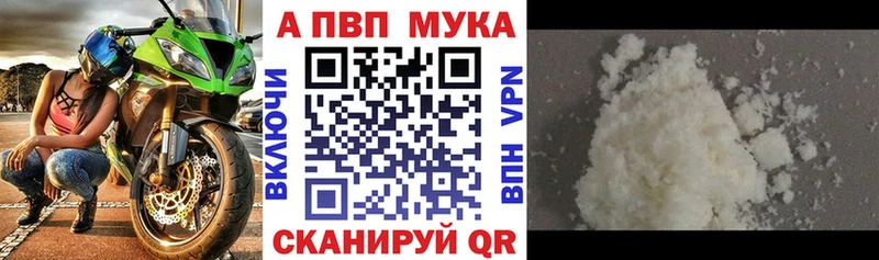 Купить где  Шенкурск  А ПВП крисы CK 
