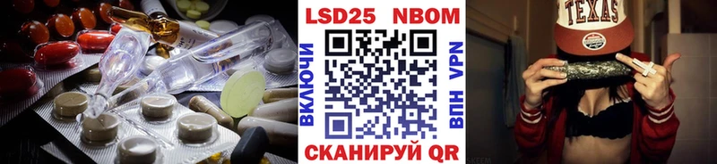 Купить закладки  Шенкурск  LSD-25 экстази кислота 