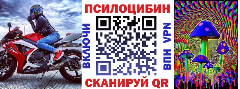 Купить где Шенкурск Галлюциногенные грибы ЛСД